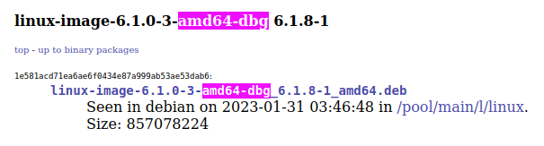 Debian package information for linux-image-6.1.0-3-amd64-dbg version 6.1.8-1, showing details such as the package name, version, release date, and file size.